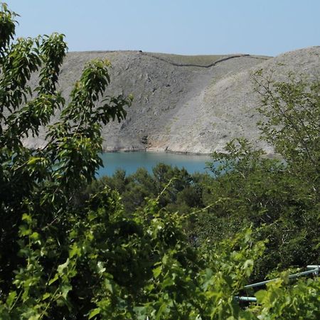 Family Friendly Seaside Apartments Vlasici, Pag - 4319 外观 照片