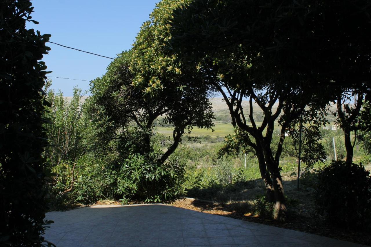 Family Friendly Seaside Apartments Vlasici, Pag - 4319 外观 照片