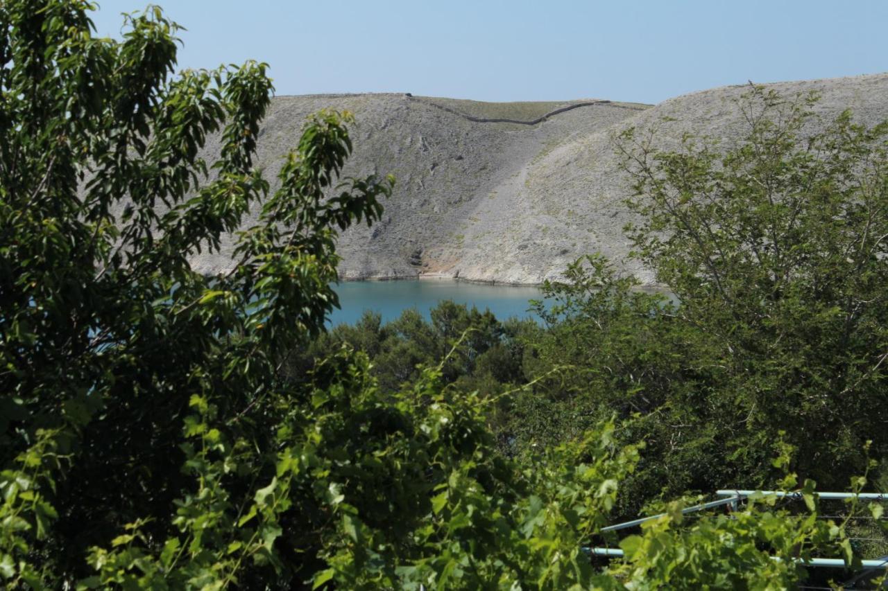 Family Friendly Seaside Apartments Vlasici, Pag - 4319 外观 照片